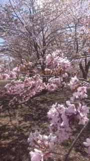  ޤμ̥2025-10-30 16:46:01