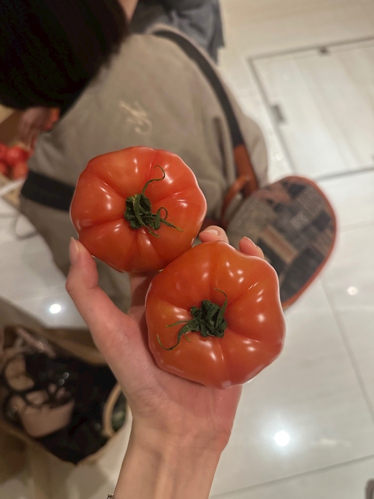 ���� ���μ̥�������2026-03-15 23:44:01������